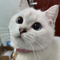 tutu's avatar